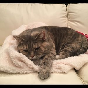 Meet your Posher, Emma